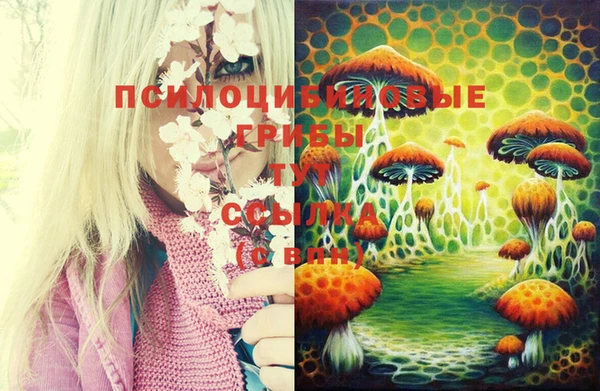 меф Алексин