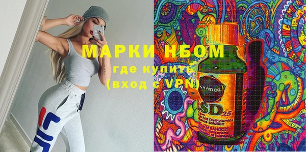 индика Алексеевка