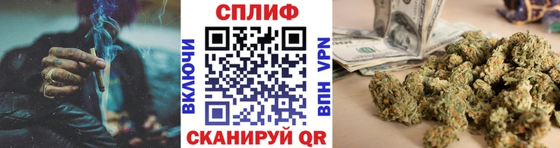 Бошки Шишки VHQ  Оса 